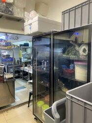 Lim Teck Kim Road (D2), Retail #531649841